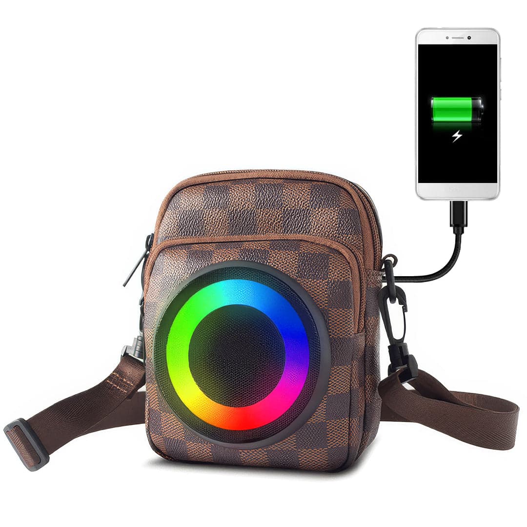 Bluetooth Speaker Bag - LED Lights, USB Power & 2500mAh Battery