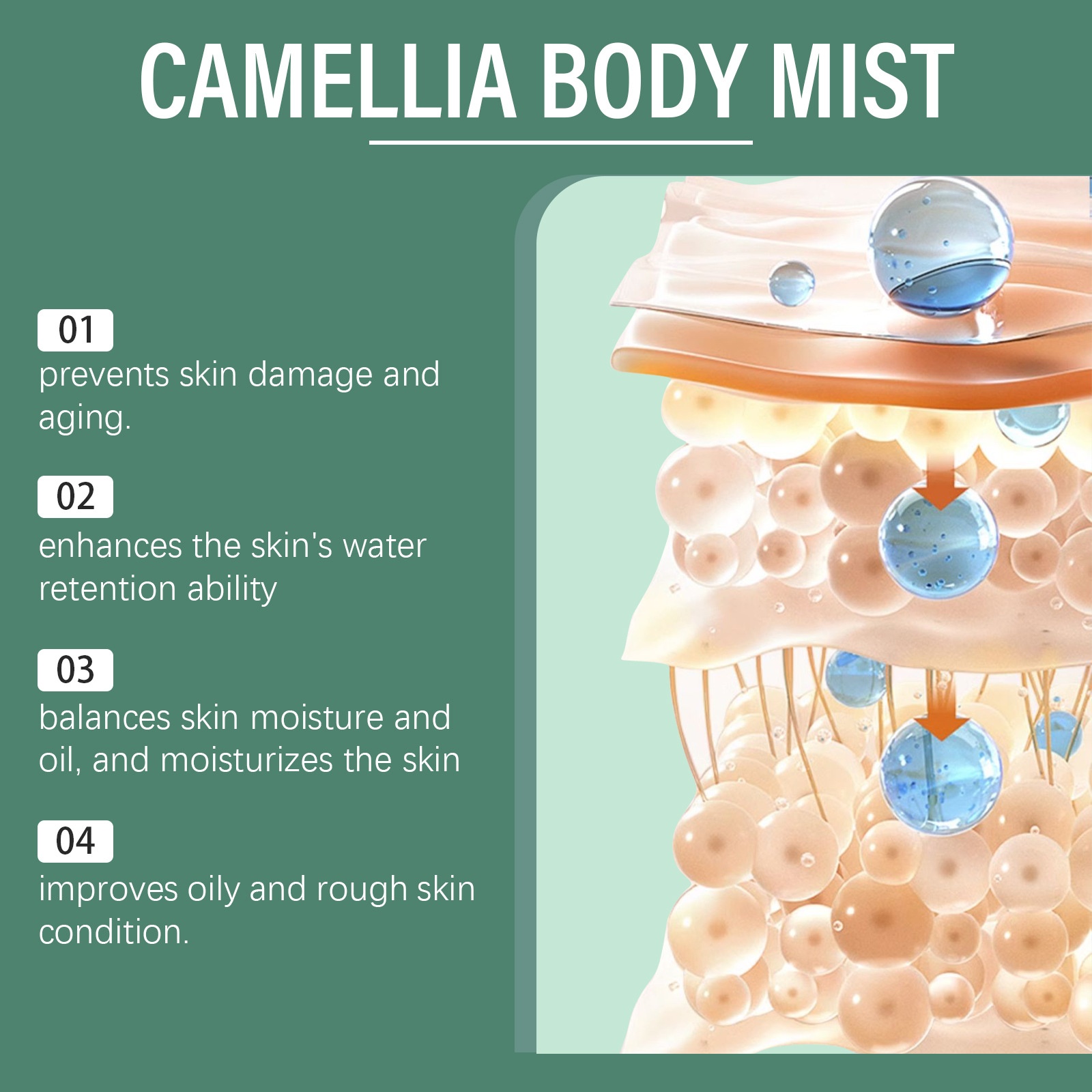 Camellia Body Lotion Body Skin Refreshing Care
