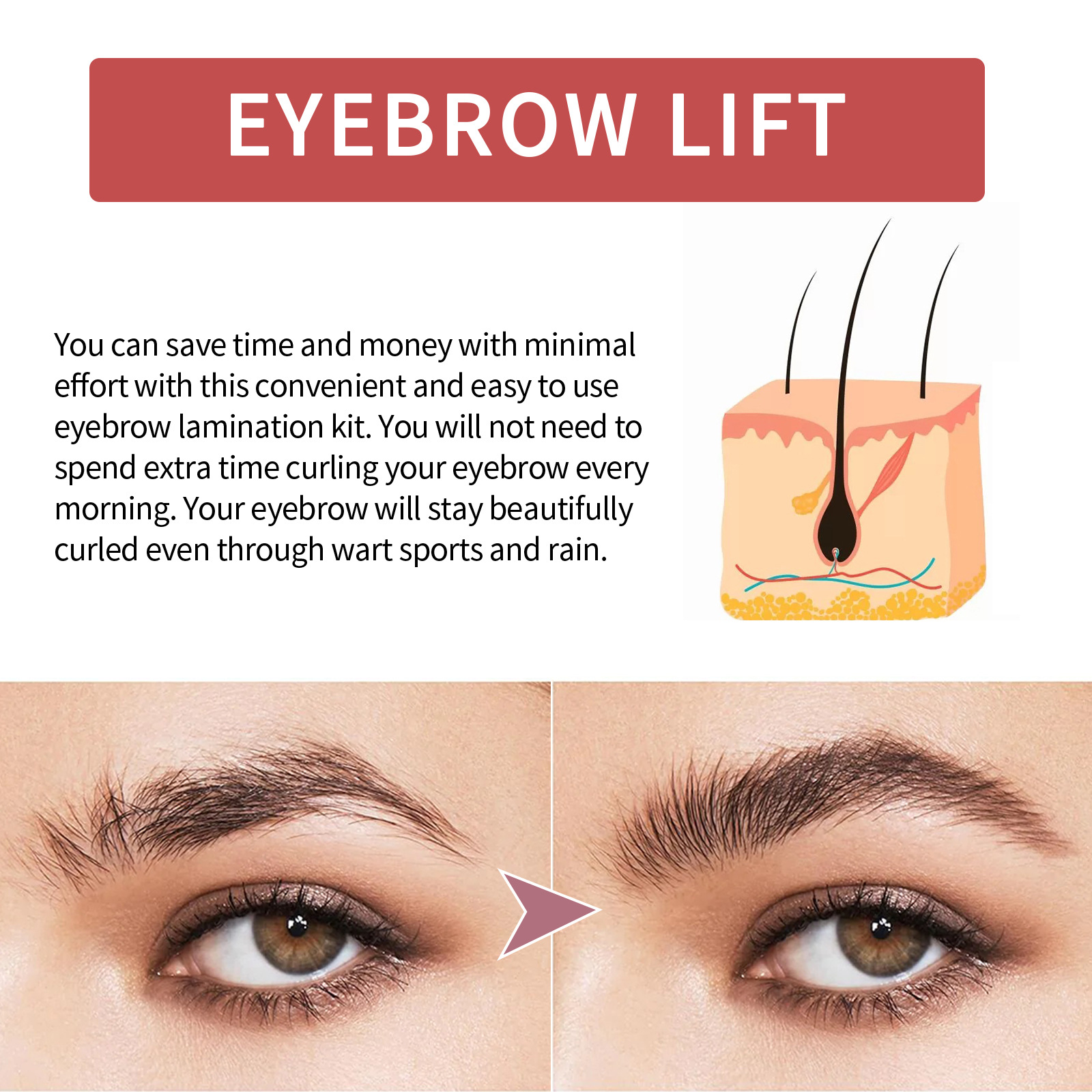 Eyebrow Laminated Suit Long-lasting Shaping