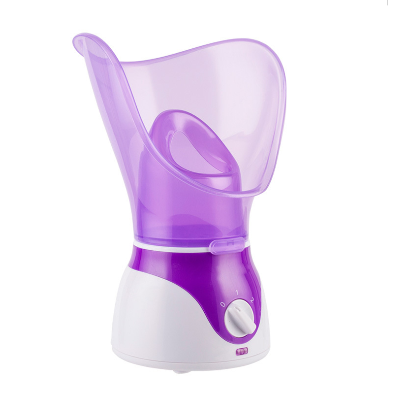 Machine à vapeur pour le visage, nettoyeur de Pores, brume, pulvérisateur à vapeur, Spa, Sauna, vaporisateur de peau