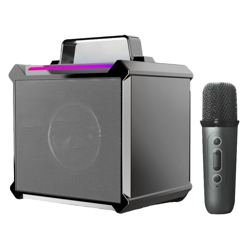 Bluetooth-Karaoke-All-in-One-Lautsprecher für den Außenbereich