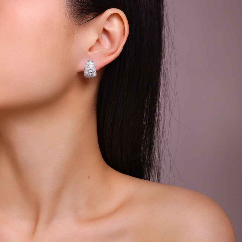 Top-quality Moissanite Luxury And Fashionable Light Luxury Jewelry Silver Stud Earrings